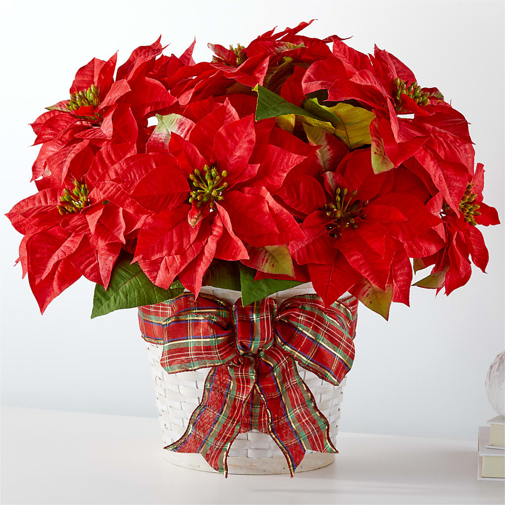 Happiest Holidays Poinsettia – J ALEXANDER'S FLORIST, Jackson MI