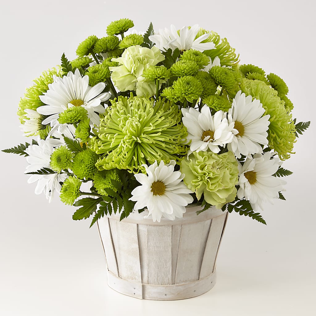 Lucky Charm Basket (Standard) – J ALEXANDER'S FLORIST, Jackson MI