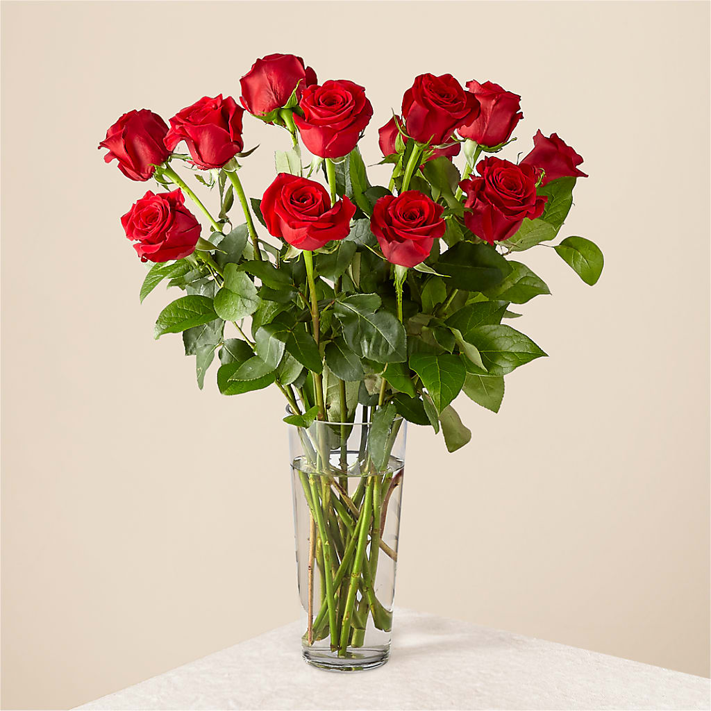 Long Stem Red Rose Bouquet – J ALEXANDER'S FLORIST, Jackson MI