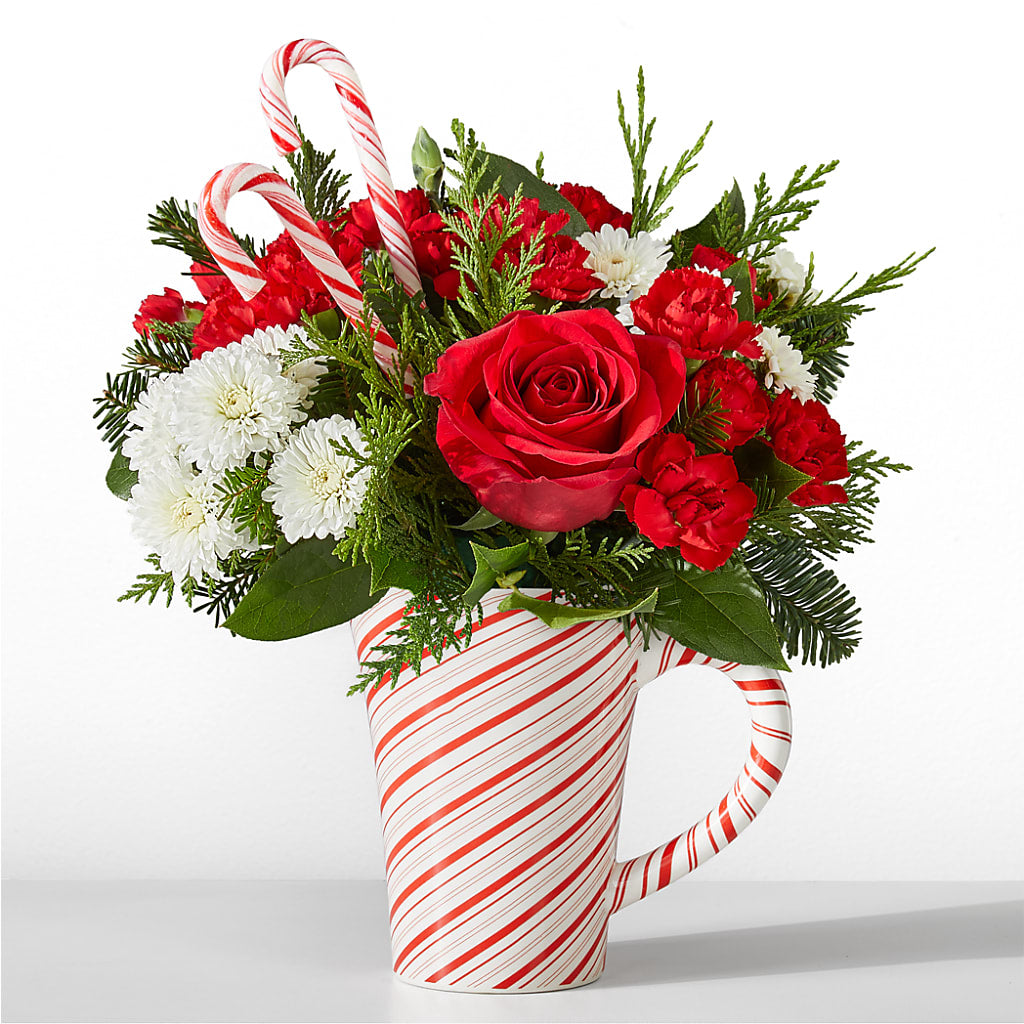 Peppermint Swirl Mug – J ALEXANDER'S FLORIST, Jackson MI