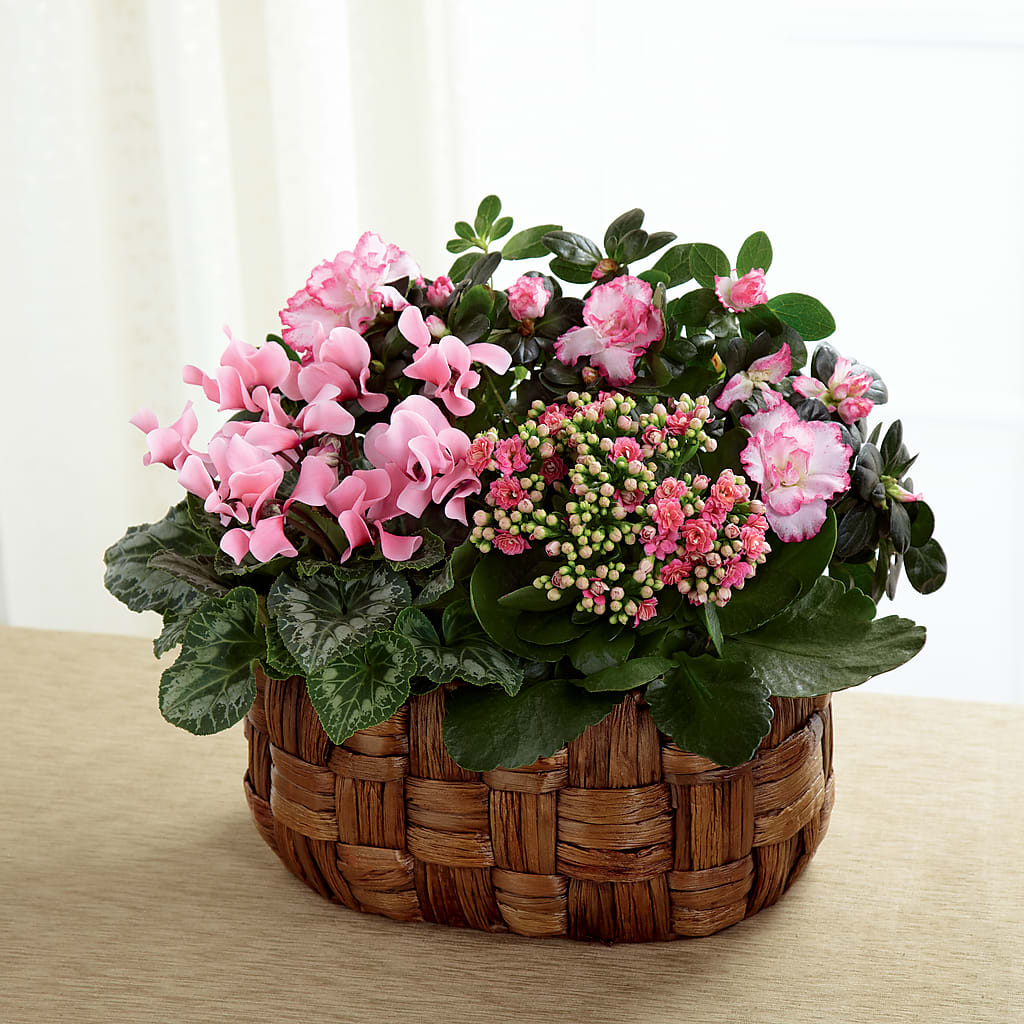 Pink Assortment – J ALEXANDER'S FLORIST, Jackson MI