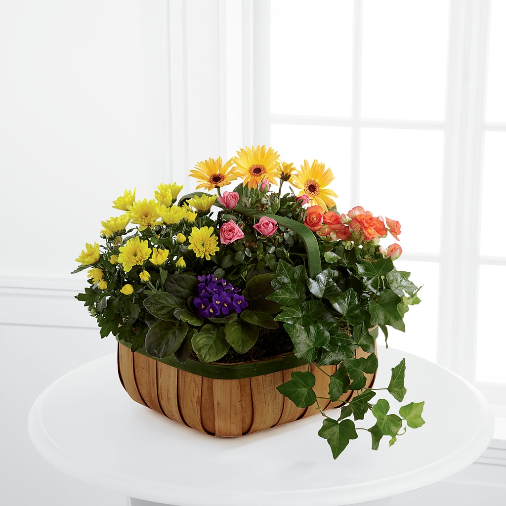 Gentle Blossoms Basket – J ALEXANDER'S FLORIST, Jackson MI