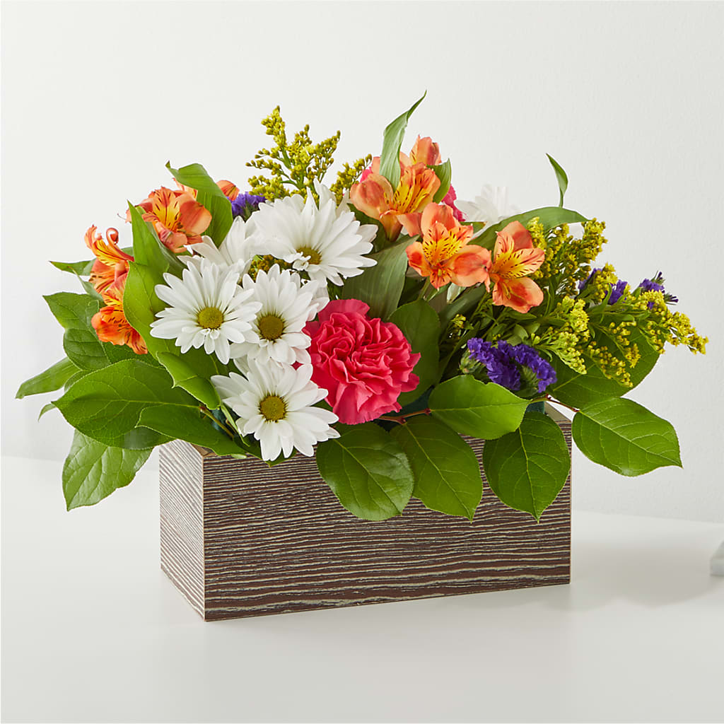 Oopsie Daisy Box Bouquet – J ALEXANDER'S FLORIST, Jackson MI