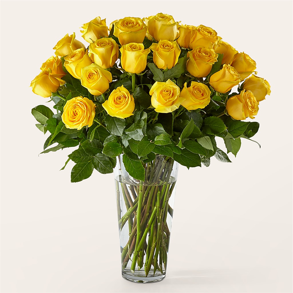Long Stem Yellow Rose Bouquet – J ALEXANDER'S FLORIST, Jackson MI
