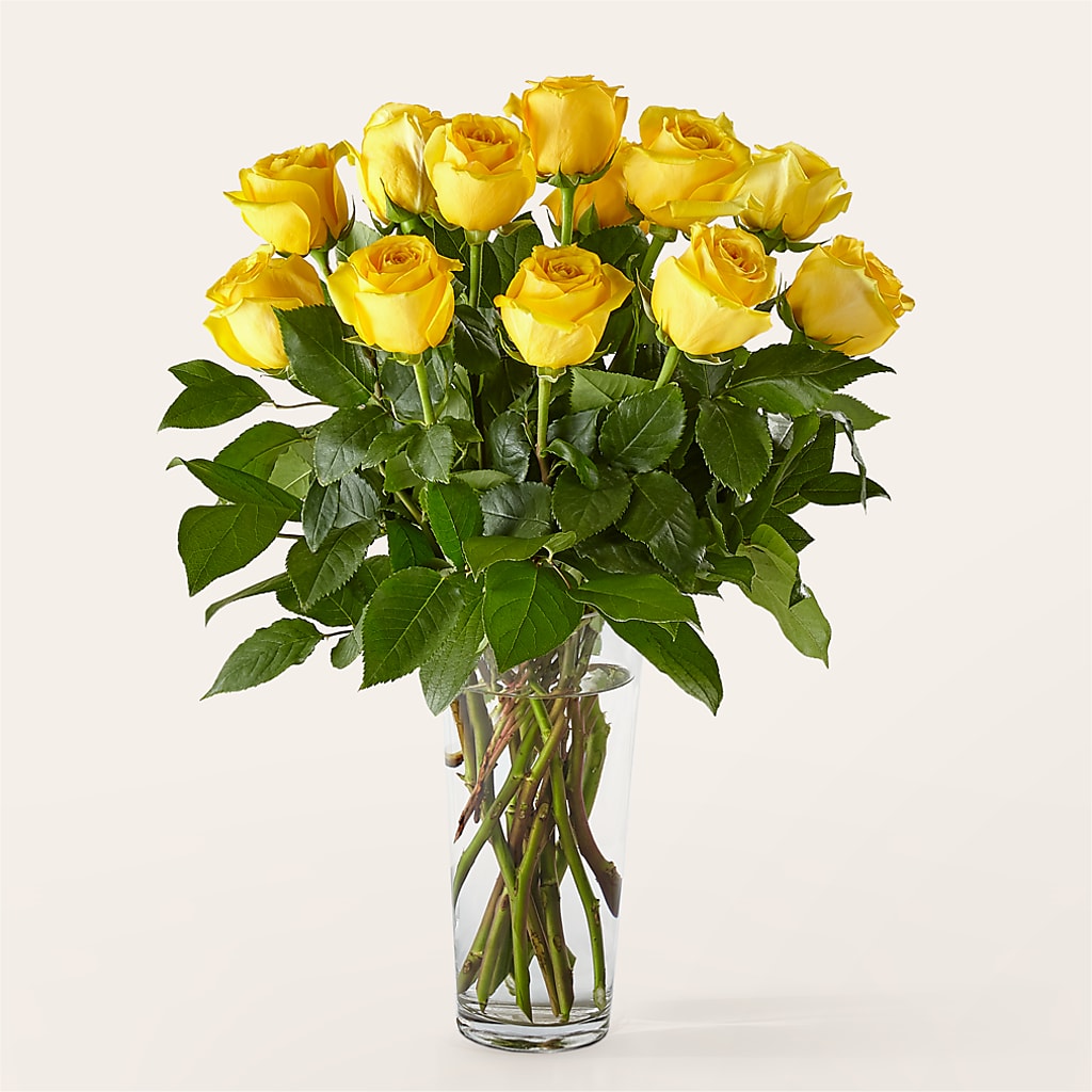 Long Stem Yellow Rose Bouquet – J ALEXANDER'S FLORIST, Jackson MI