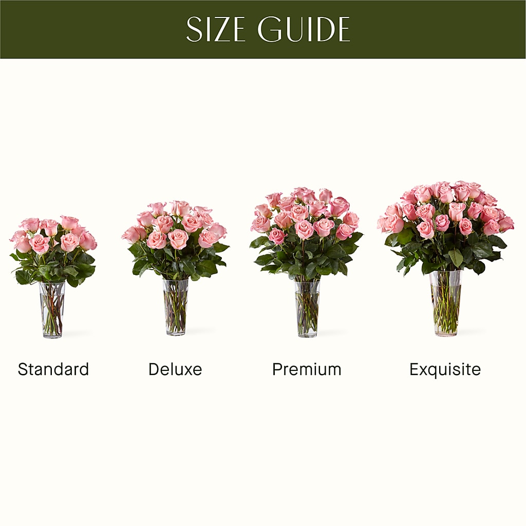 Long Stem Pink Rose Bouquet – J ALEXANDER'S FLORIST, Jackson MI