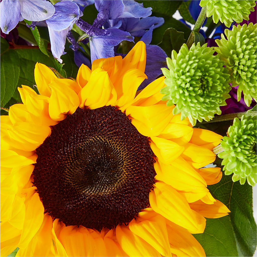 Catching Rays Bouquet – J ALEXANDER'S FLORIST, Jackson MI