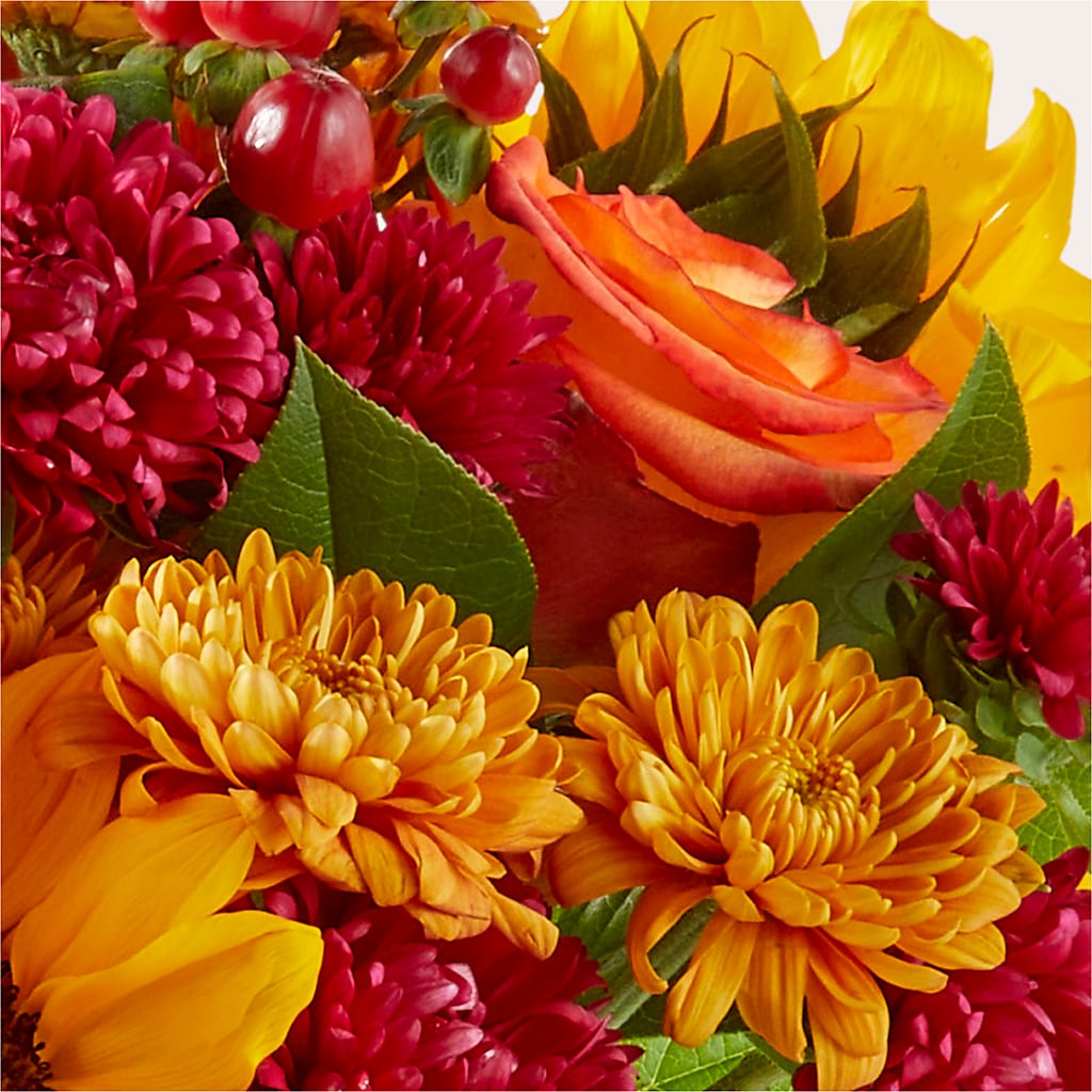 Sweater Season - A Florist Original – J ALEXANDER'S FLORIST, Jackson MI