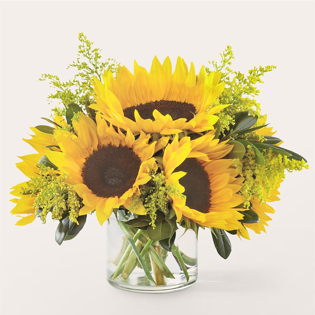 Beaming Sunflower Bouquet – J ALEXANDER'S FLORIST, Jackson MI