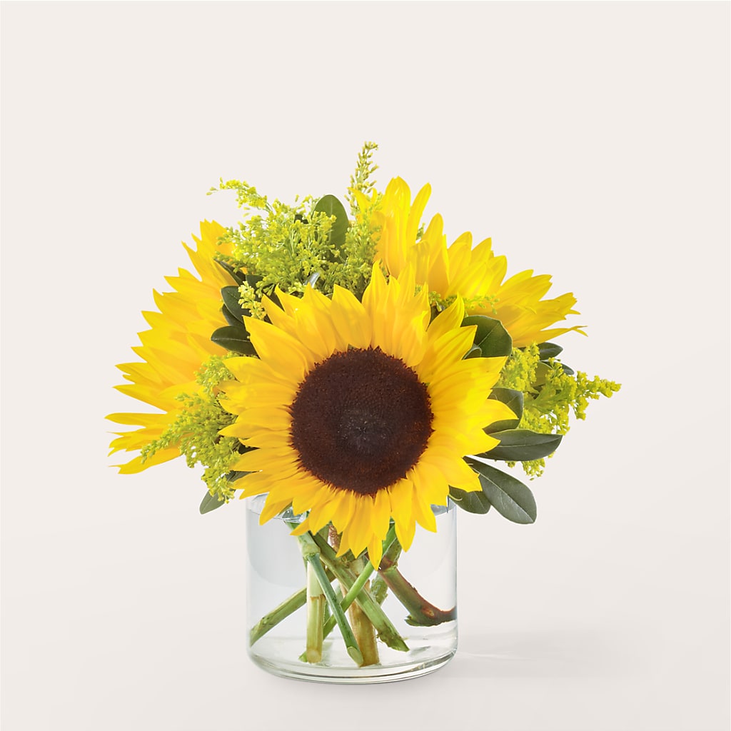 Beaming Sunflower Bouquet – J ALEXANDER'S FLORIST, Jackson MI