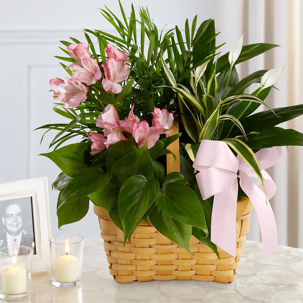 Living Spirit Dishgarden – J ALEXANDER'S FLORIST, Jackson MI