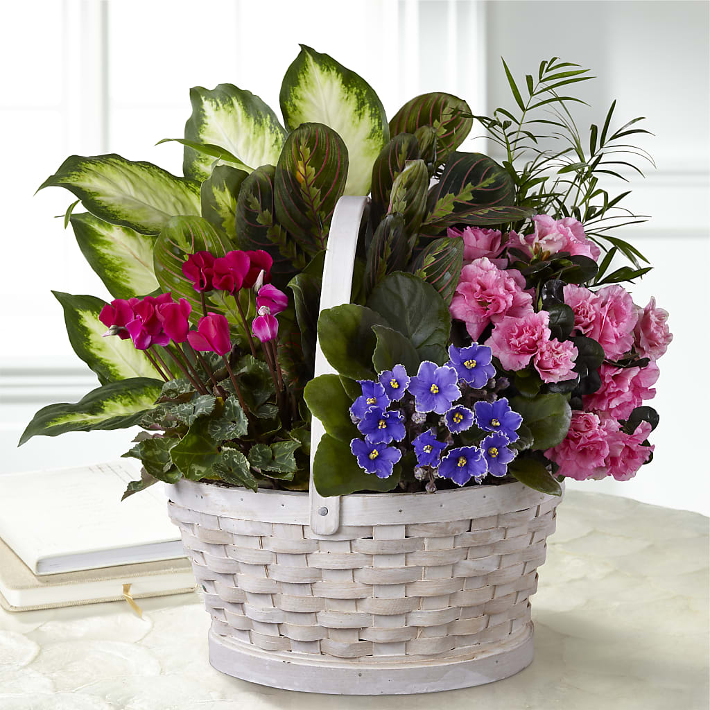Peaceful Garden Planter – J ALEXANDER'S FLORIST, Jackson MI