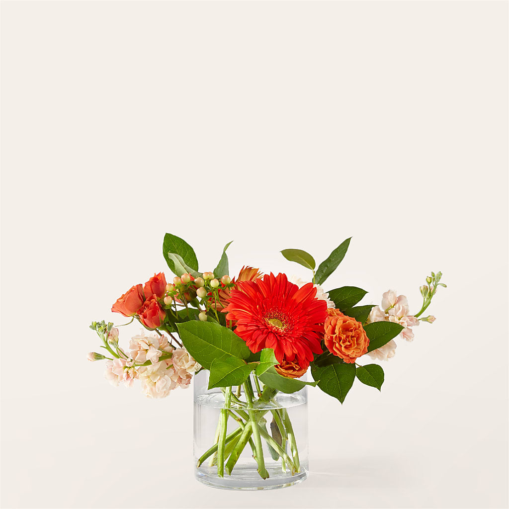 Paloma Please Bouquet – J ALEXANDER'S FLORIST, Jackson MI