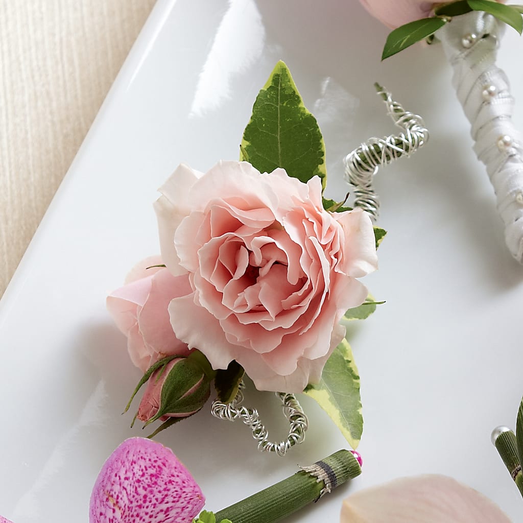 Pink Spray Rose Boutonniere – J ALEXANDER'S FLORIST, Jackson MI