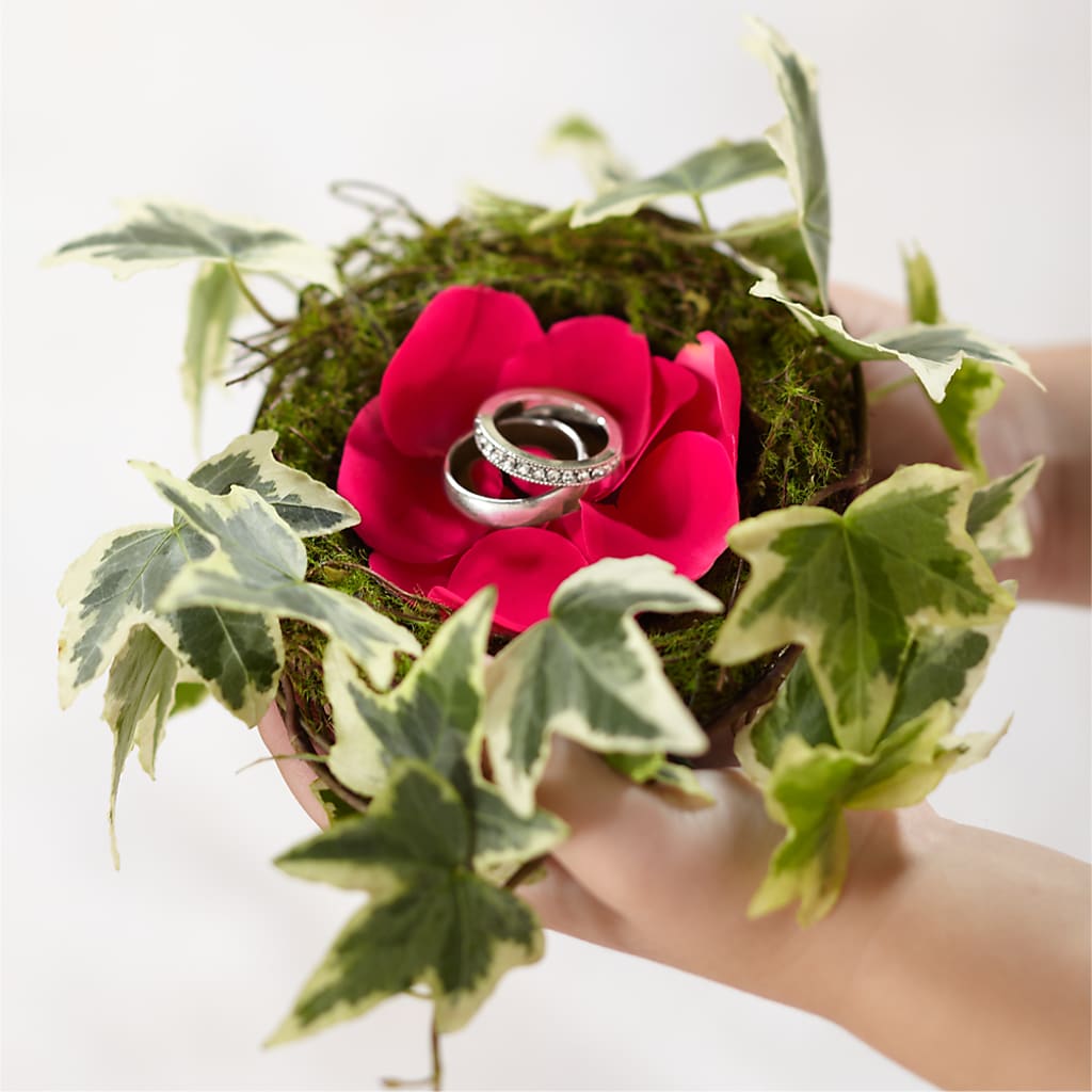 Lila Rose Ring Nest – J ALEXANDER'S FLORIST, Jackson MI