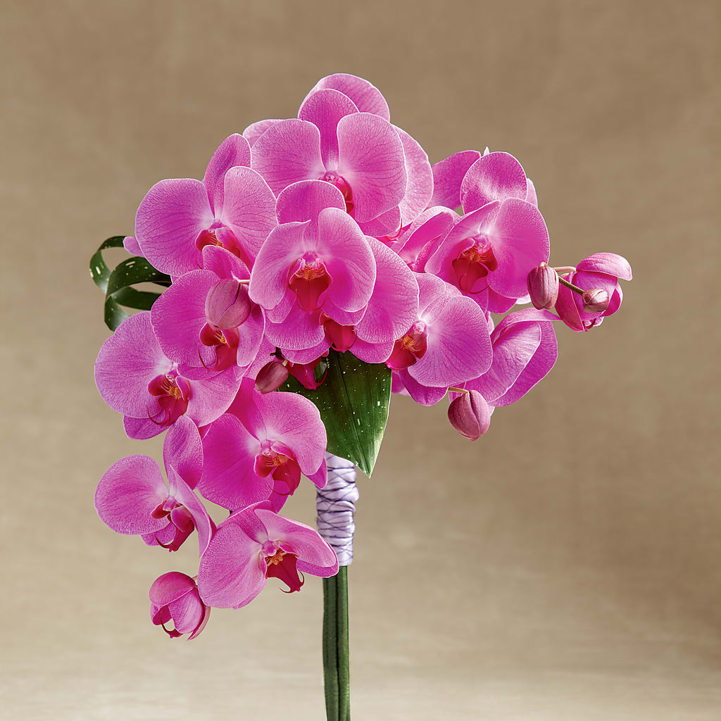 Glorious Bouquet – J ALEXANDER'S FLORIST, Jackson MI