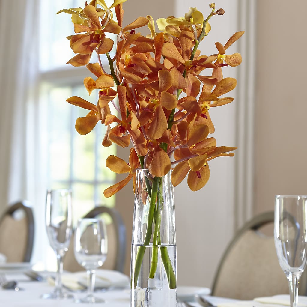 Orange Mokara Bud Vase – J ALEXANDER'S FLORIST, Jackson MI