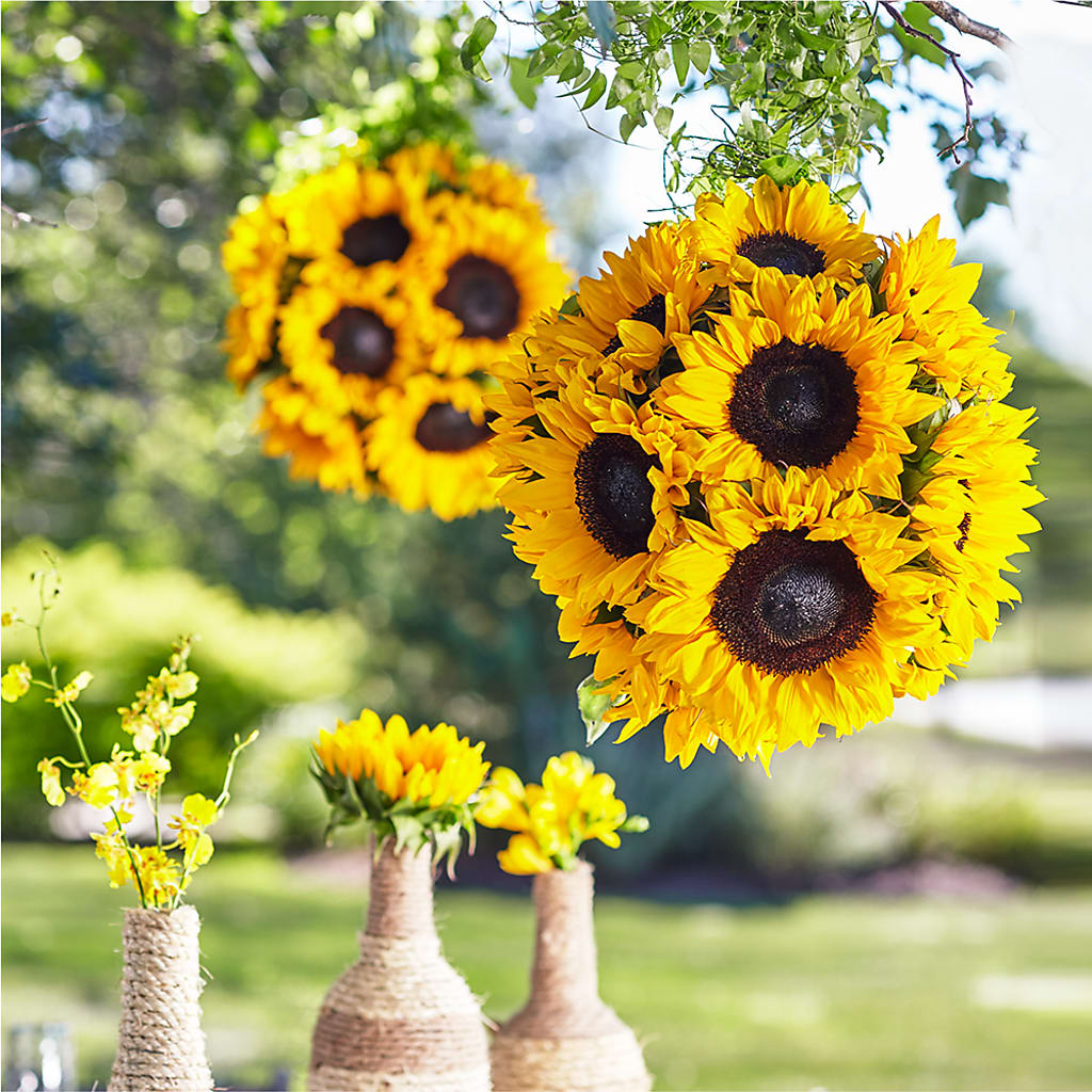 Sublime Garden Hanging Arrangement – J ALEXANDER'S FLORIST, Jackson MI