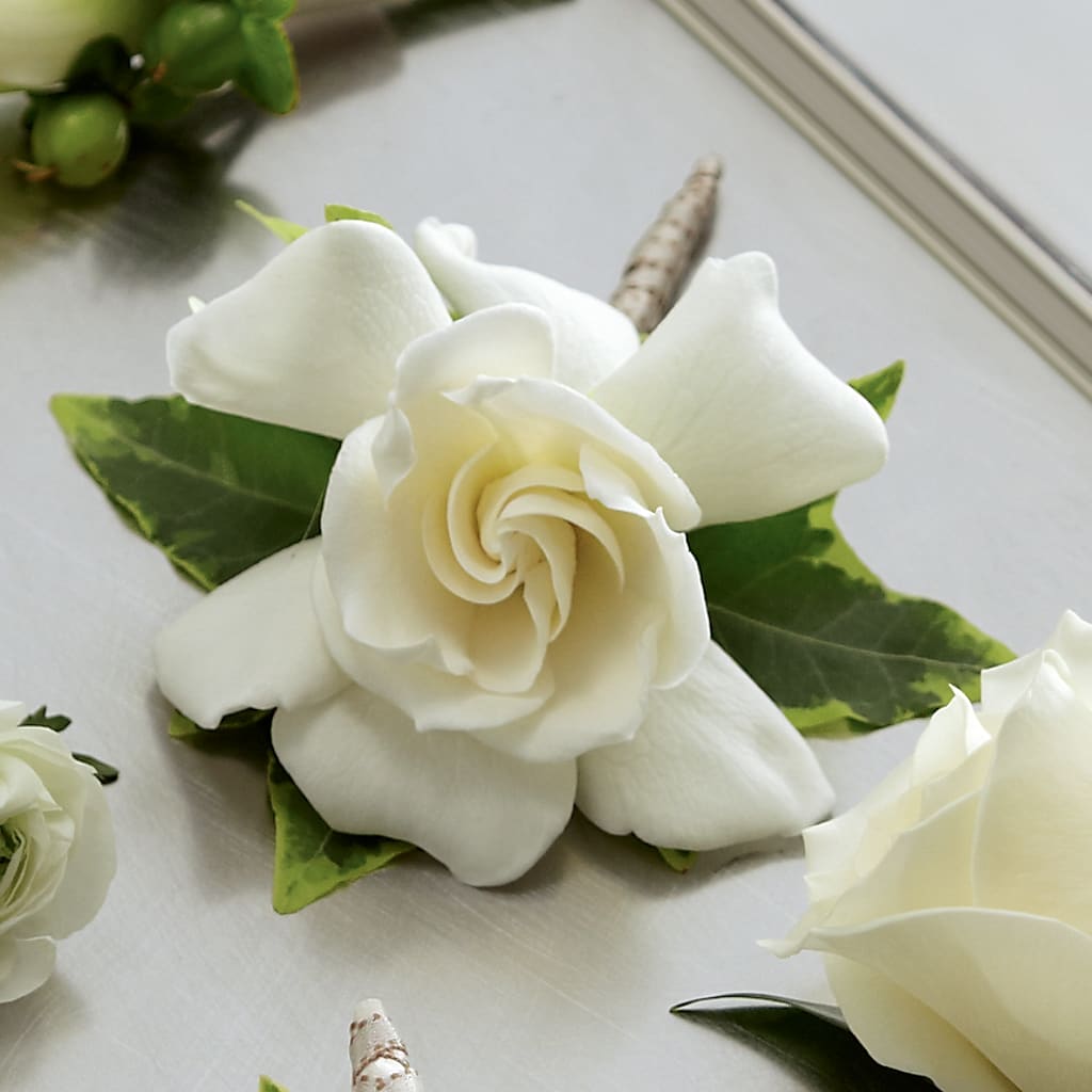 Gardenia Boutonniere – J ALEXANDER'S FLORIST, Jackson MI