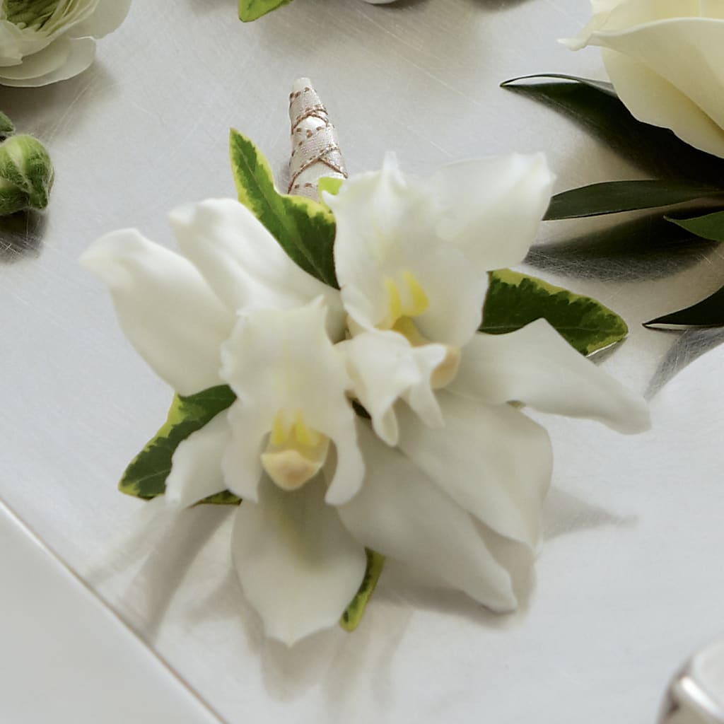 White Mini Cymbidium Boutonniere – J ALEXANDER'S FLORIST, Jackson MI