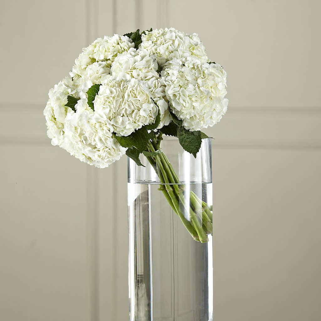 White Hydrangea Hand-Tied Bouquet – J ALEXANDER'S FLORIST, Jackson MI