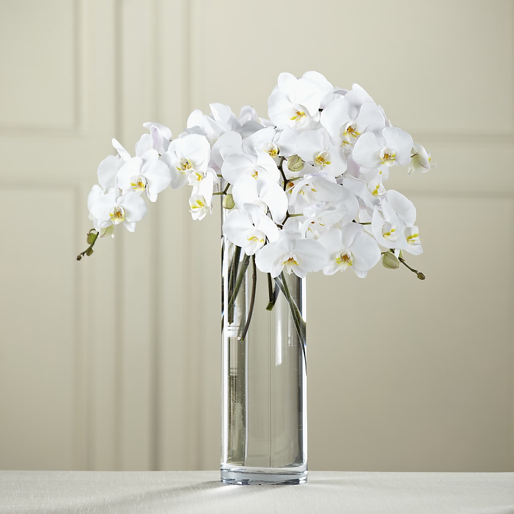 White Phalaenopsis Bouquet – J ALEXANDER'S FLORIST, Jackson MI