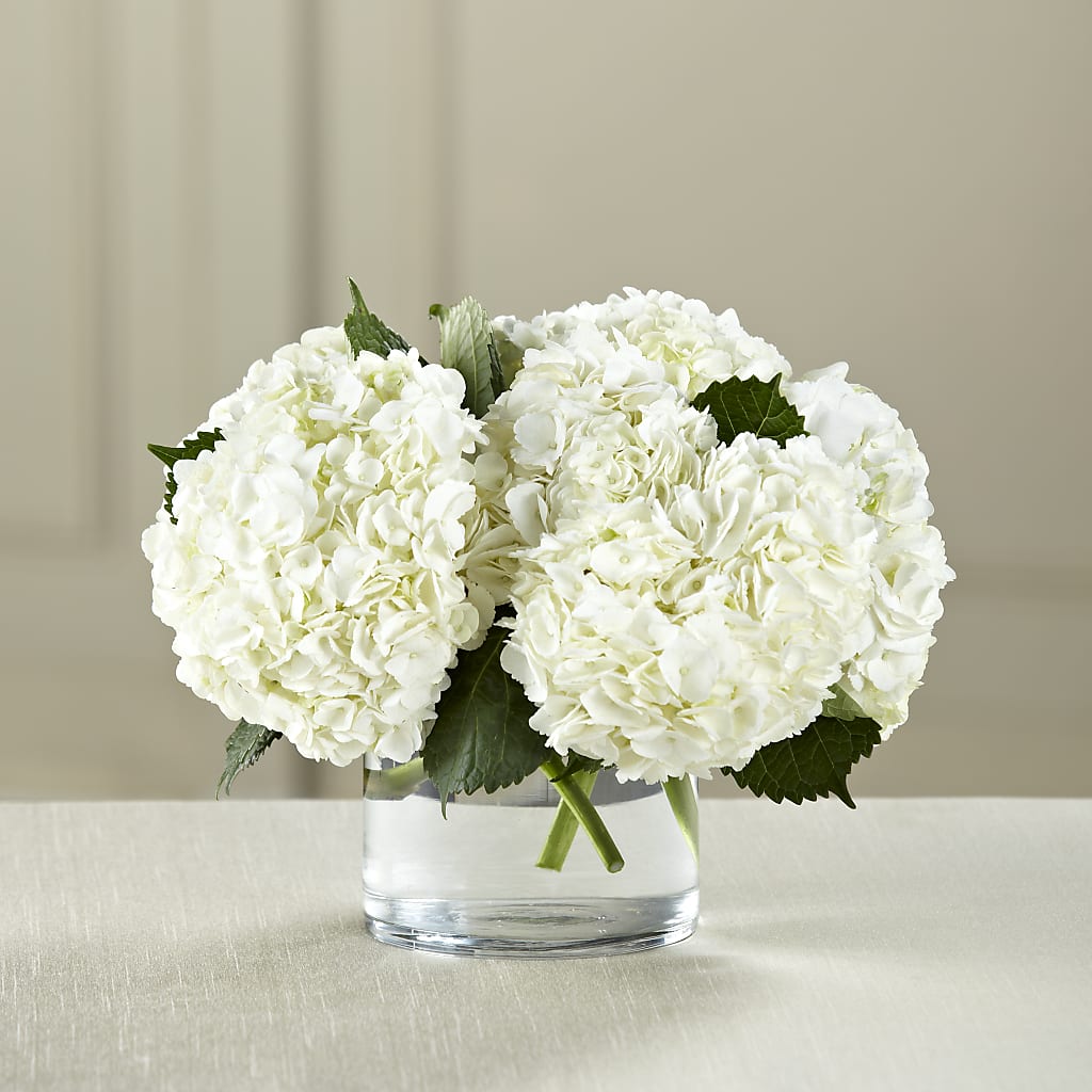 White Hydrangea Bouquet – J ALEXANDER'S FLORIST, Jackson MI