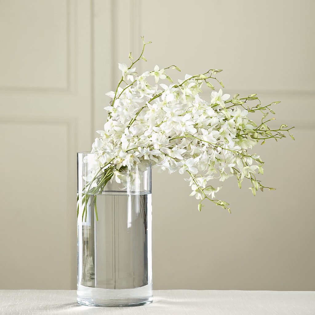 White Dendrobium Bouquet – J ALEXANDER'S FLORIST, Jackson MI