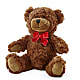 Adorable Plush Bear – J ALEXANDER'S FLORIST, Jackson MI