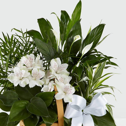 Peace & Serenity Dishgarden – J ALEXANDER'S FLORIST, Jackson MI