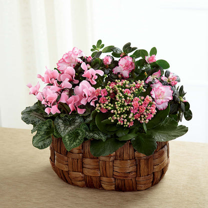 Pink Assortment – J ALEXANDER'S FLORIST, Jackson MI