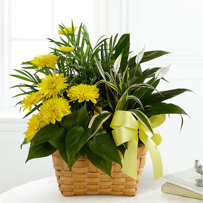 Loving Light Dishgarden – J ALEXANDER'S FLORIST, Jackson MI