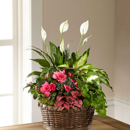 Dream in Pink Dishgarden – J ALEXANDER'S FLORIST, Jackson MI