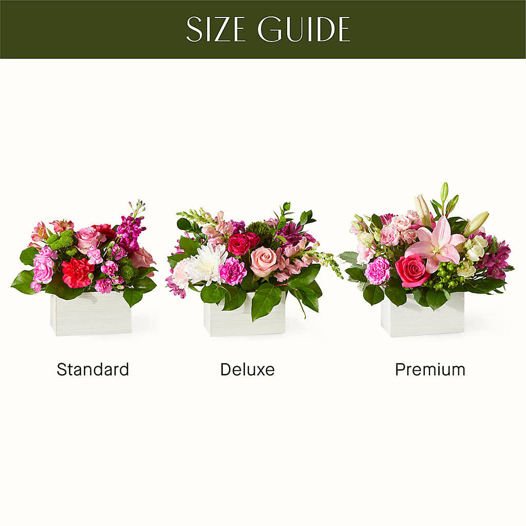 Sweetberry Box – A Florist Original – J ALEXANDER'S FLORIST, Jackson MI
