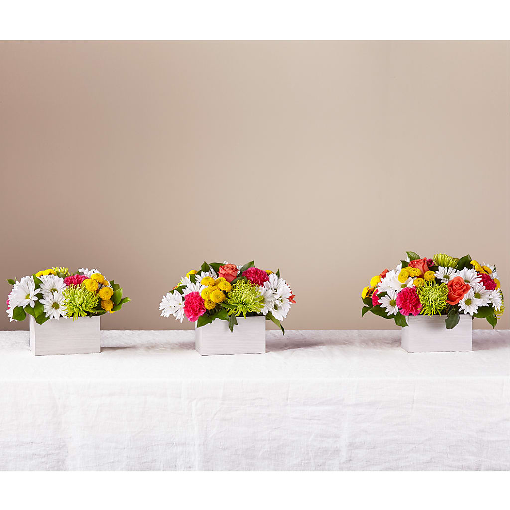 Sorbet Bouquet – J ALEXANDER'S FLORIST, Jackson MI