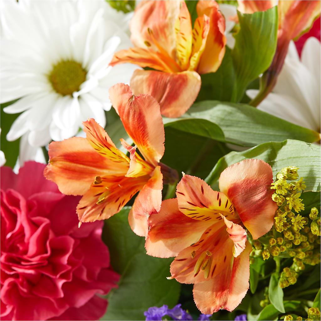 Oopsie Daisy Box Bouquet – J ALEXANDER'S FLORIST, Jackson MI