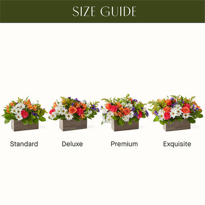 Oopsie Daisy Box Bouquet – J ALEXANDER'S FLORIST, Jackson MI