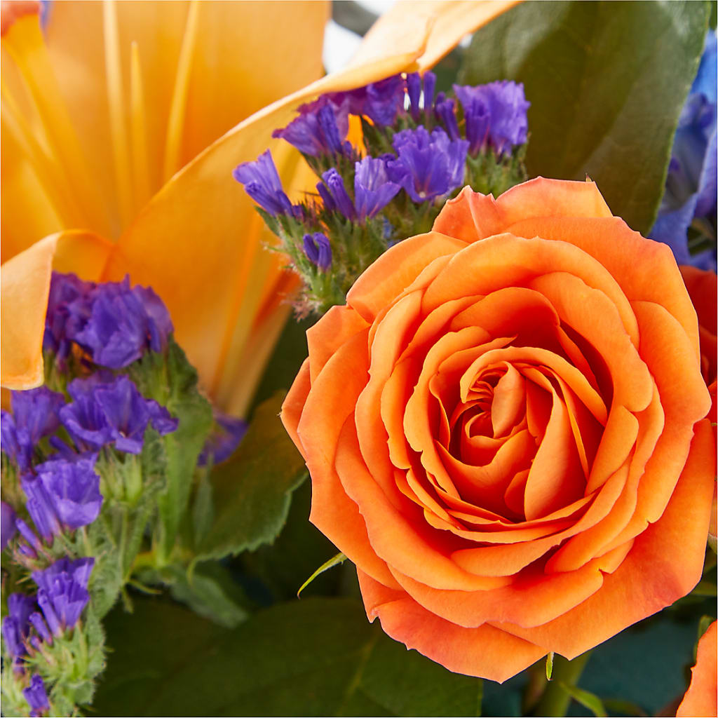 Radiant Citrus Box Bouquet – J ALEXANDER'S FLORIST, Jackson MI