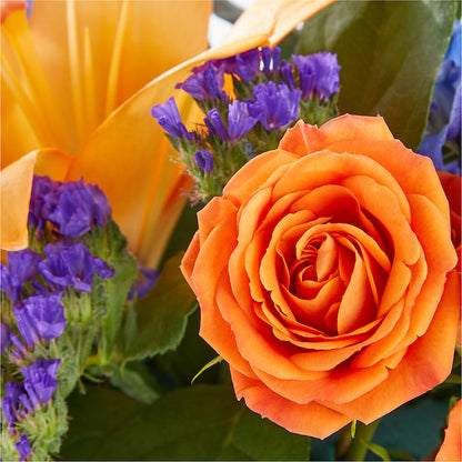 Radiant Citrus Box Bouquet – J ALEXANDER'S FLORIST, Jackson MI