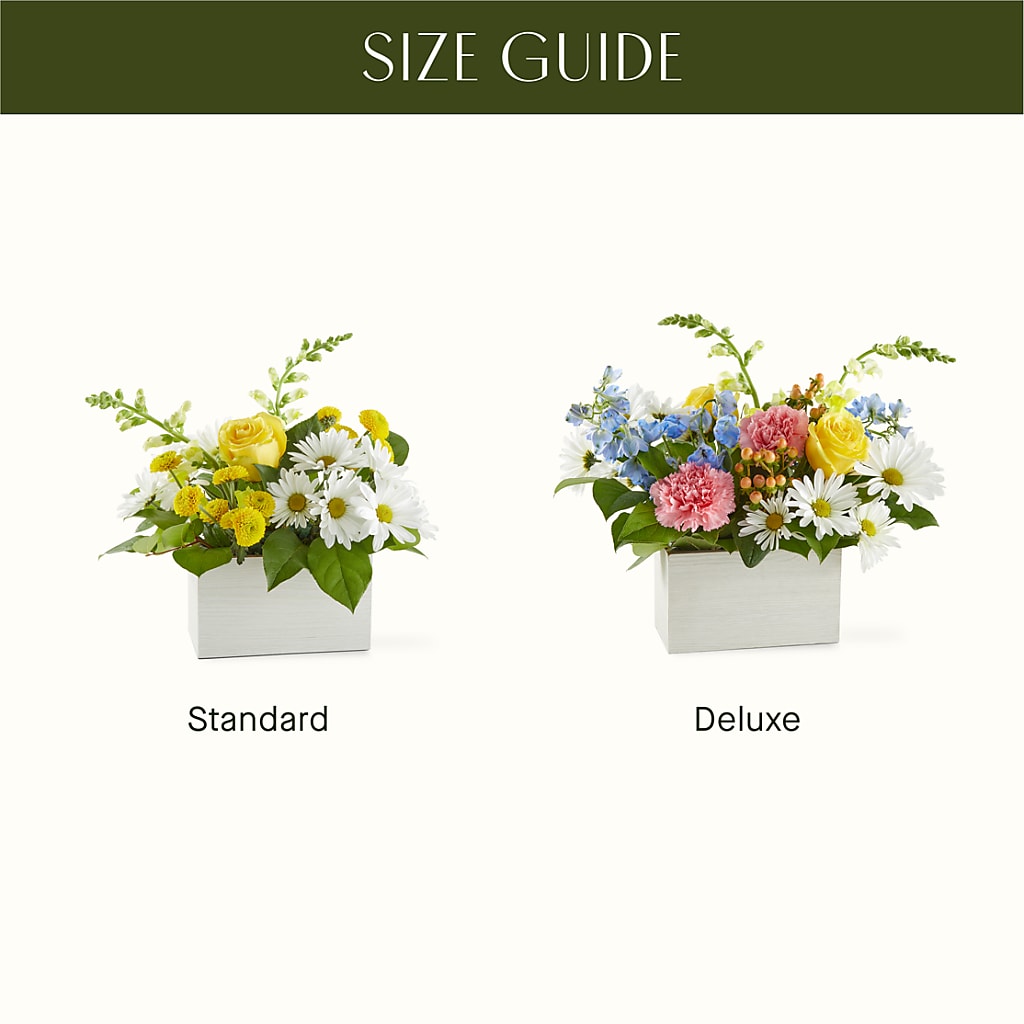 Sun Salutation Box Bouquet – J ALEXANDER'S FLORIST, Jackson MI