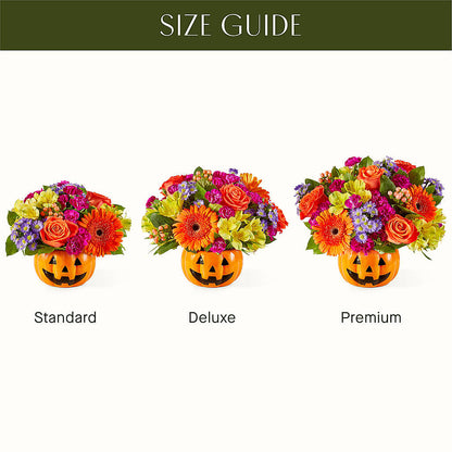 Tricks & Treats Pumpkin – J ALEXANDER'S FLORIST, Jackson MI