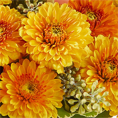 Peachy Pumpkin – J ALEXANDER'S FLORIST, Jackson MI