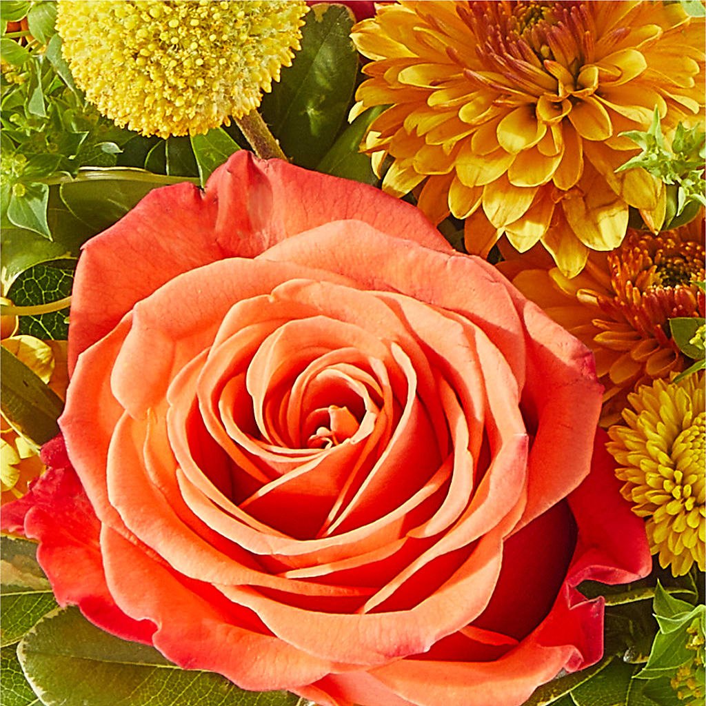 Gourdgeous Pumpkin – J ALEXANDER'S FLORIST, Jackson MI