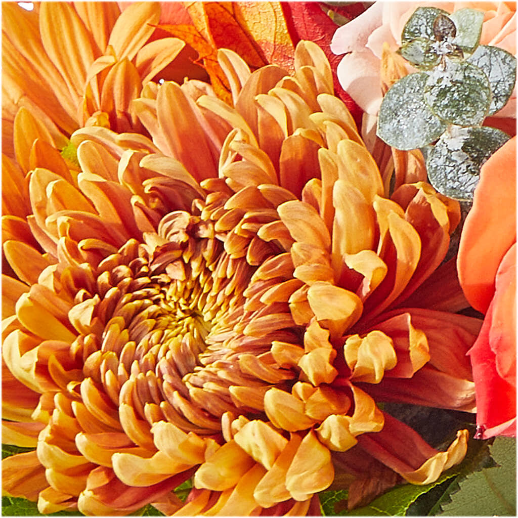 Scenic Route Bouquet – J ALEXANDER'S FLORIST, Jackson MI