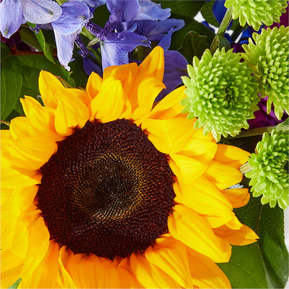 Catching Rays Bouquet – J ALEXANDER'S FLORIST, Jackson MI