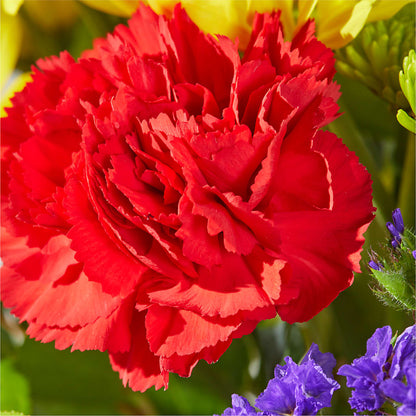 Brighter Days Bouquet – J ALEXANDER'S FLORIST, Jackson MI