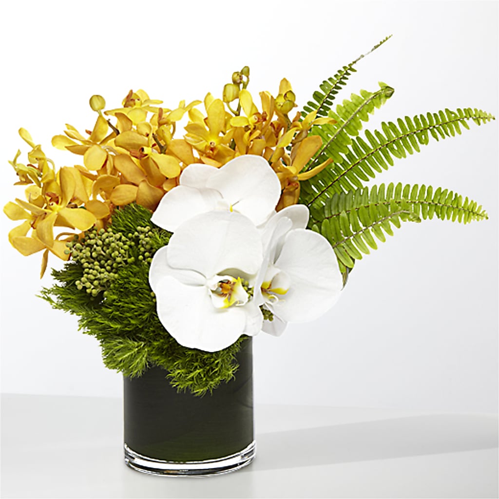 The Tropics – J ALEXANDER'S FLORIST, Jackson MI