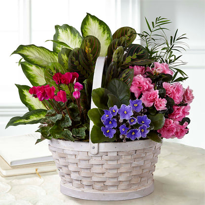 Peaceful Garden Planter – J ALEXANDER'S FLORIST, Jackson MI