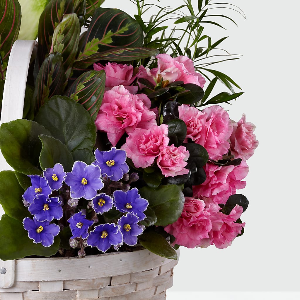 Peaceful Garden Planter – J ALEXANDER'S FLORIST, Jackson MI