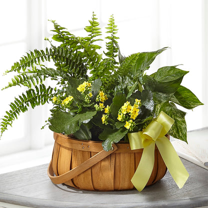 Always Dear Dishgarden – J ALEXANDER'S FLORIST, Jackson MI